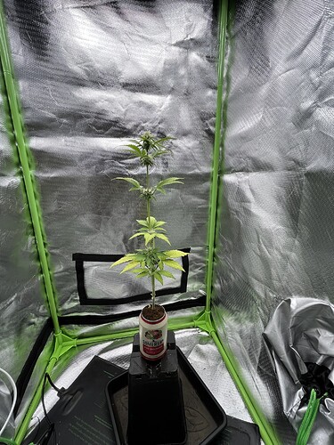 Growreport Bild 11