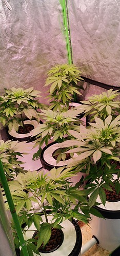Growreport Bild 14