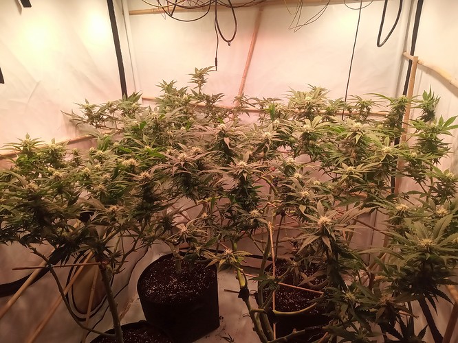 IMG_20210314_221323_992