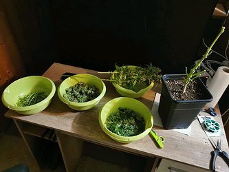 Growreport Bild 1