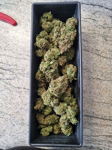 Growreport Bild 10