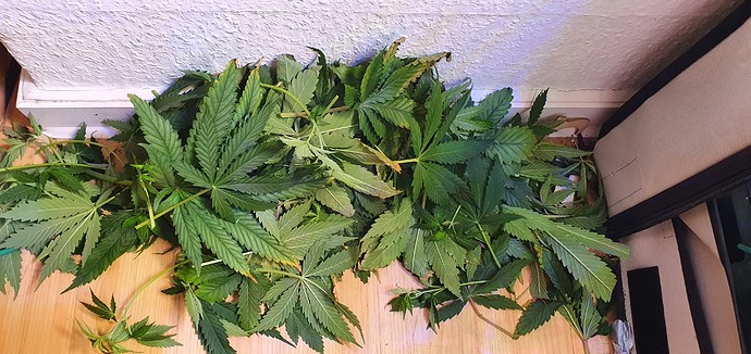 Growreport Bild 3