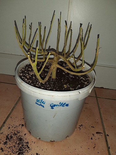 Growreport Bild 12