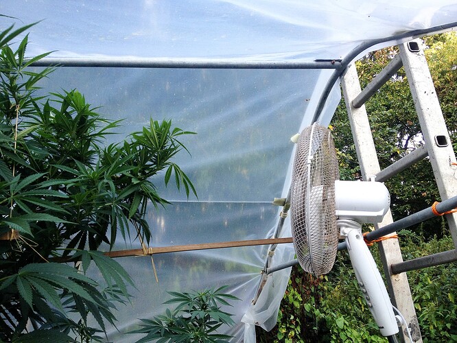 Growreport Bild 17