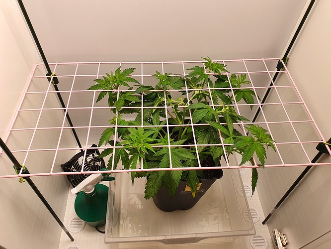 Growreport Bild 1