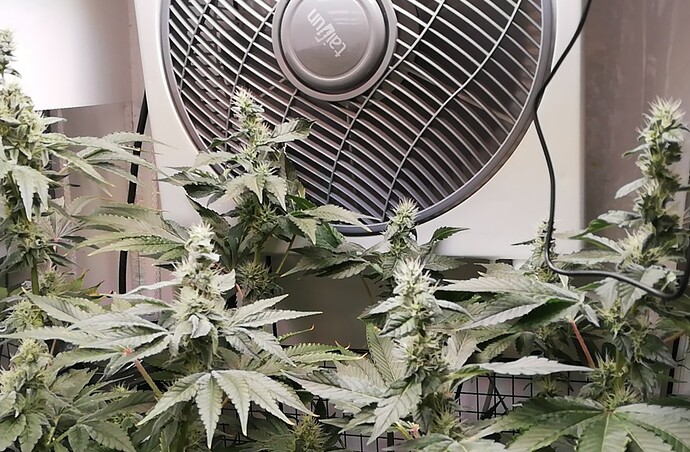 Growreport Bild 5