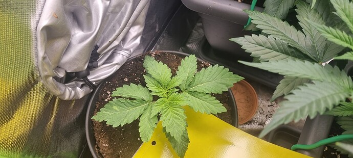 Growreport Bild 9