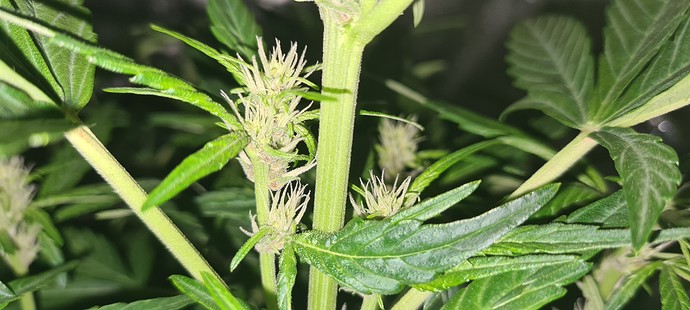 Growreport Bild 17