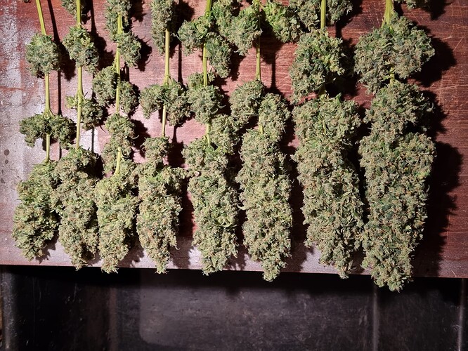 Growreport Bild 7