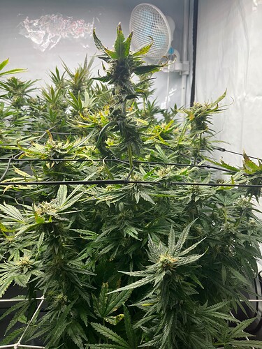 Growreport Bild 2