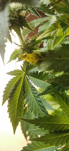 Growreport Bild 22