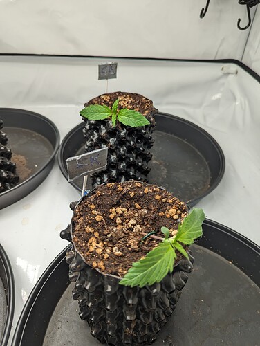 PXL_20231029_125722743