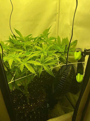 Growreport Bild 23