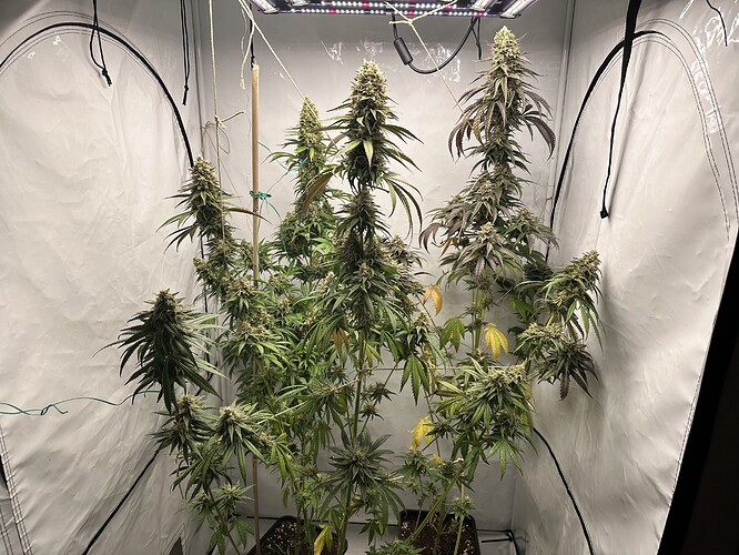 Growreport Bild 9