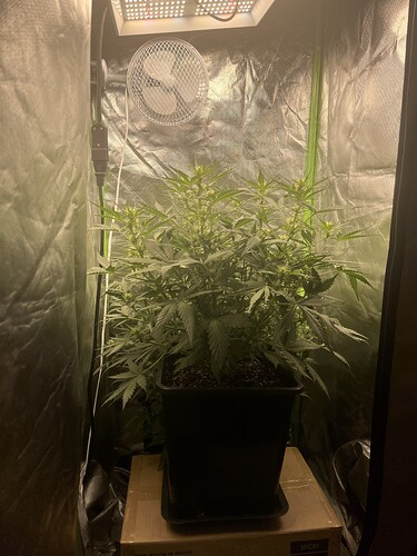 Growreport Bild 4