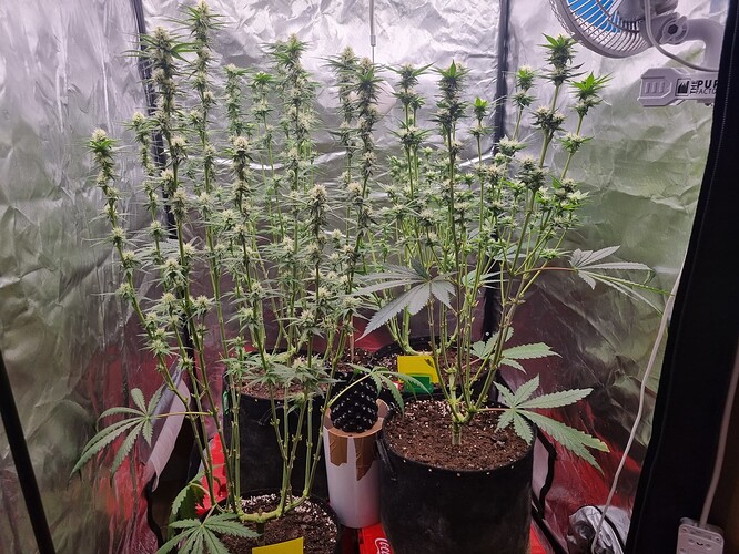 Growreport Bild 17