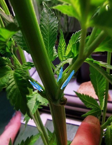 Growreport Bild 5