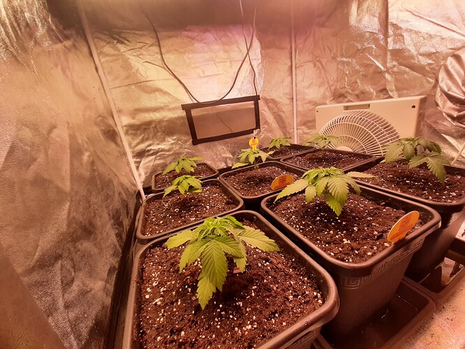 Growreport Bild 3