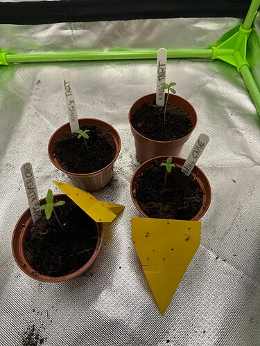 Growreport Bild 19