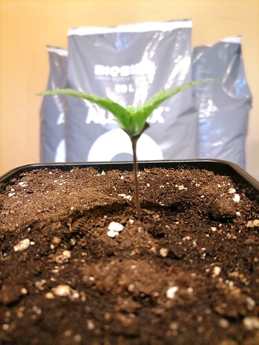 Growreport Bild 12