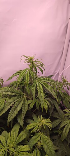 IMG_20221112_100814