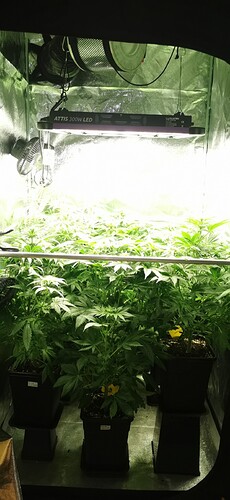 Growreport Bild 11