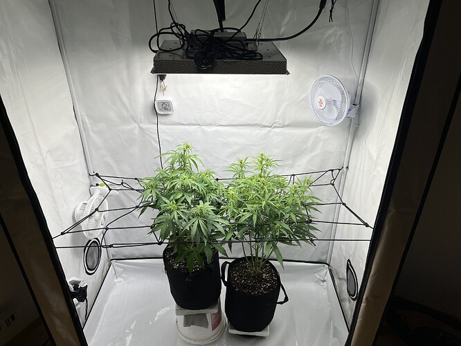 Growreport Bild 16