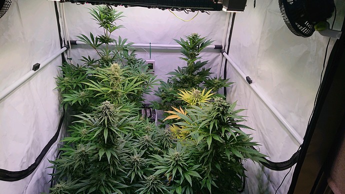 Growreport Bild 2