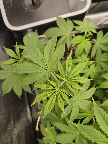 Growreport Bild 8