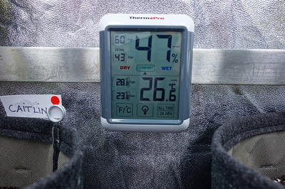 Ein Thermo-Hygrometer zeigt eine Luftfeuchtigkeit von 47% und eine Temperatur von 26,6°C an. Daneben hängt ein kleines Etikett mit der Aufschrift "CAITLIN".