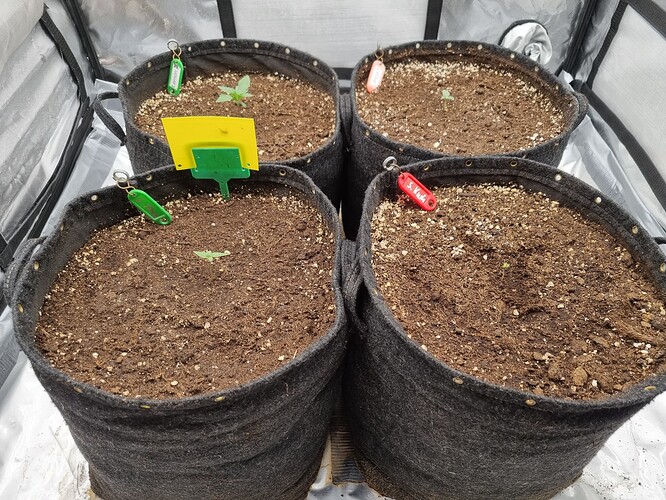 Growreport Bild 20