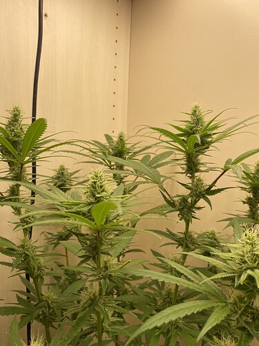 Growreport Bild 11