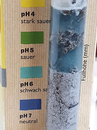 Growreport Bild 2
