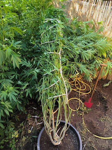 Growreport Bild 12