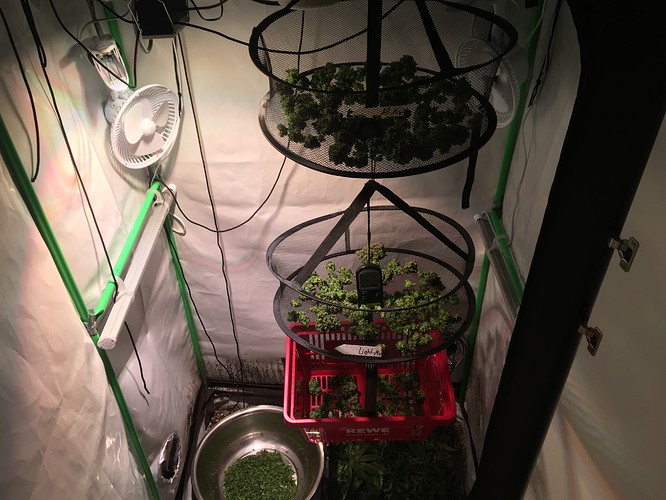 Growreport Bild 16