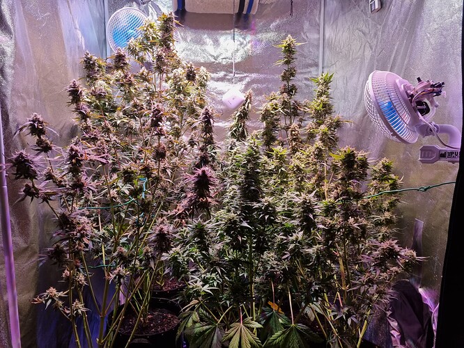 Growreport Bild 5