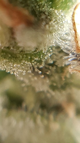 20210214_183954