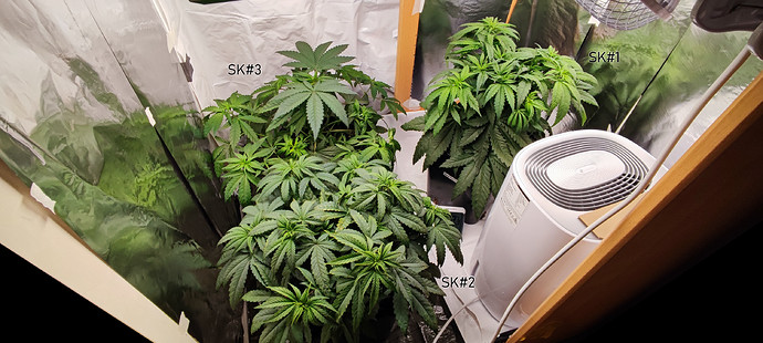 Growreport Bild 1