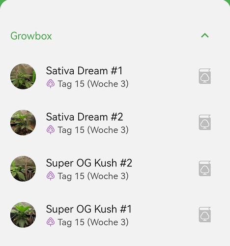 Growreport Bild 9