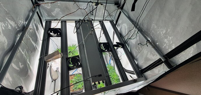 Growreport Bild 5