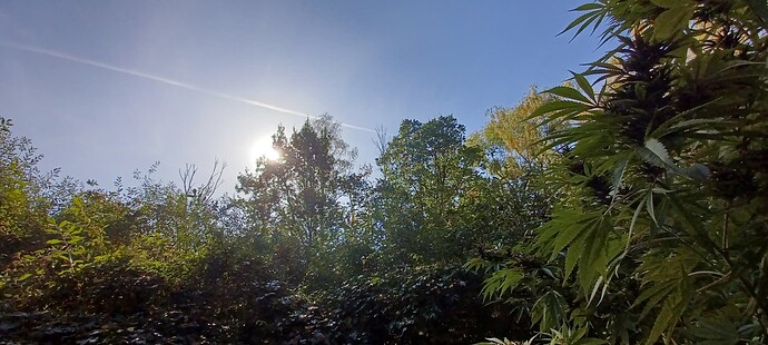Growreport Bild 1