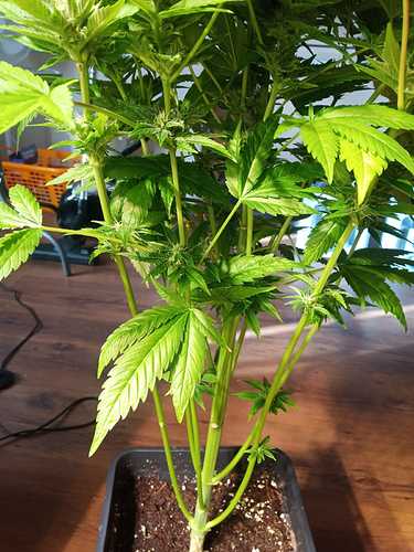 WhatsApp Image 2021-02-12 at 10.41.10