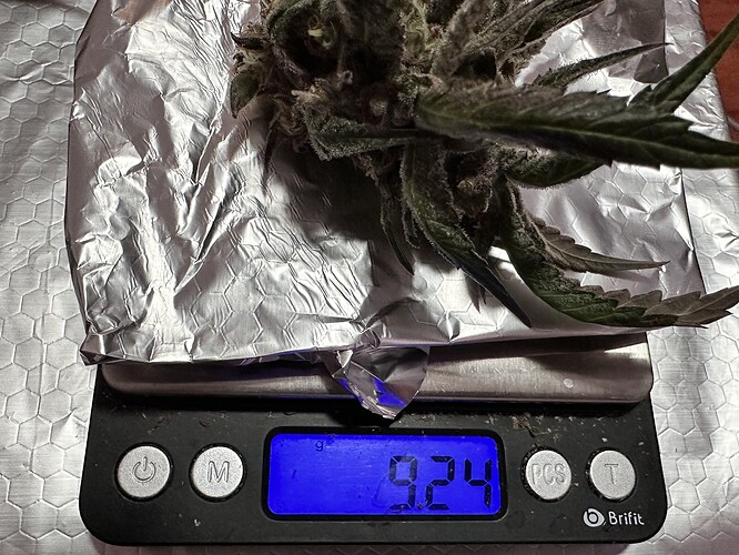 Growreport Bild 10