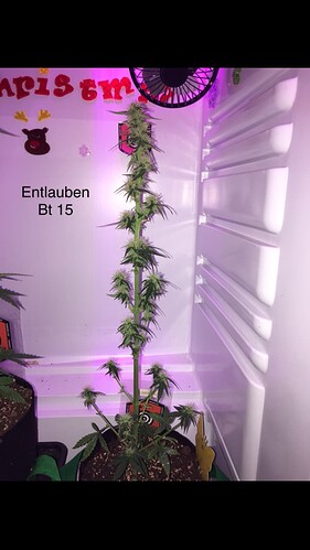Growreport Bild 14
