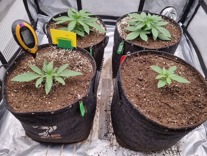 Growreport Bild 12