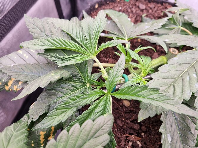 Growreport Bild 16