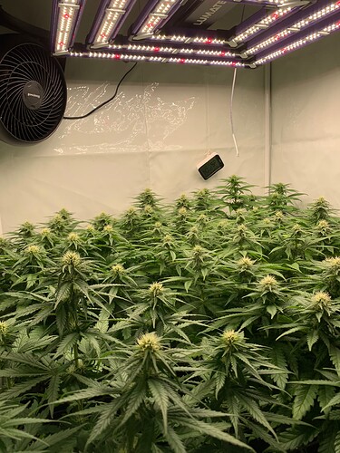 Growreport Bild 7