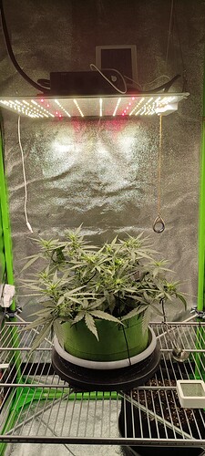 IMG_20230822_024908