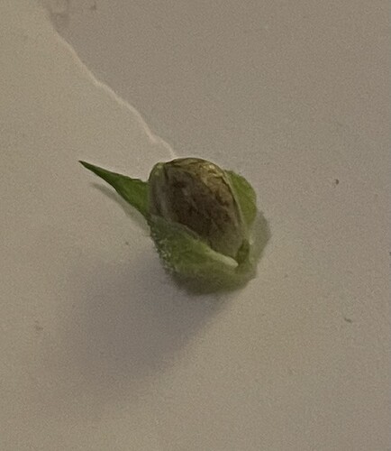 Growreport Bild 12