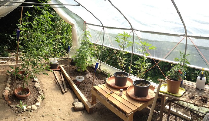 Growreport Bild 18